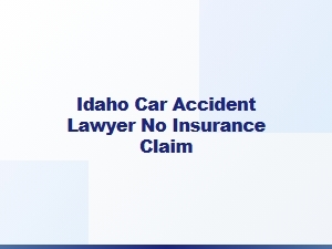 Idaho Car Accident Lawyer for Uninsured Drivers